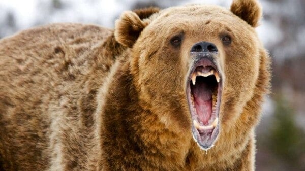 Image | How The Coming Confrontation Will Unfold