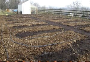 Image | How to Water a Garden