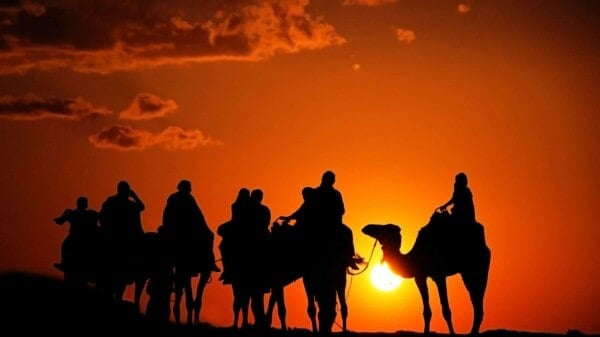 Image | Off the Cuff: Preparing To Ride Camels