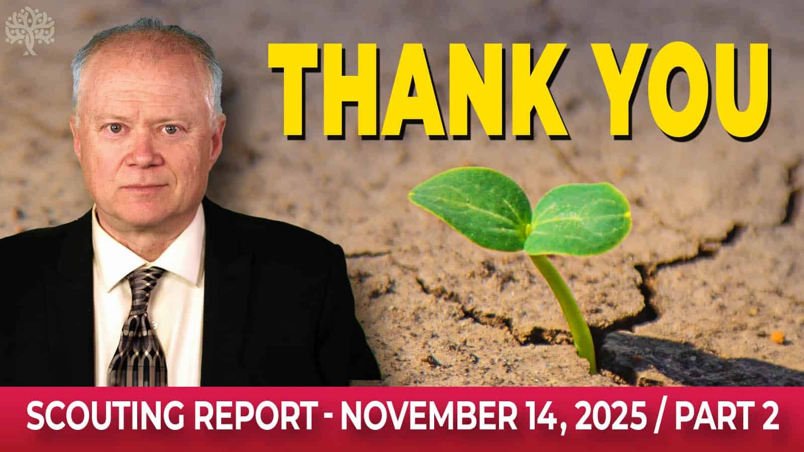 Surviving The Decline